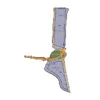 overview
