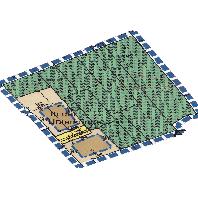 overview