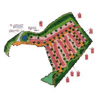 overview