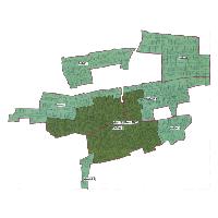 overview