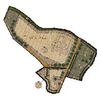 overview