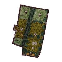 overview