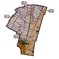 overview