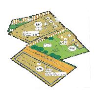 overview
