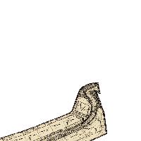 overview
