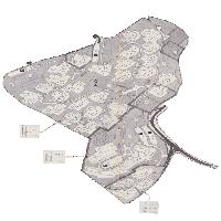 overview
