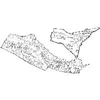 overview