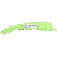 overview