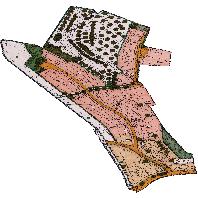 overview