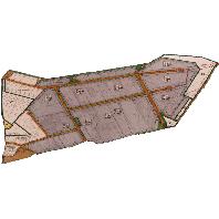 overview