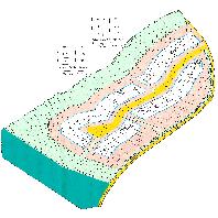 overview