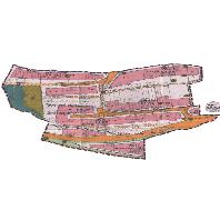 overview