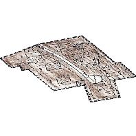 overview