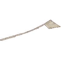 overview