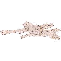 overview