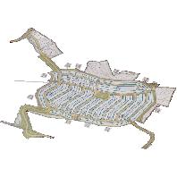 overview