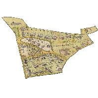 overview