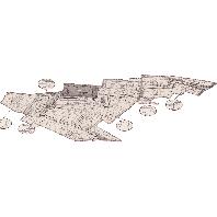 overview